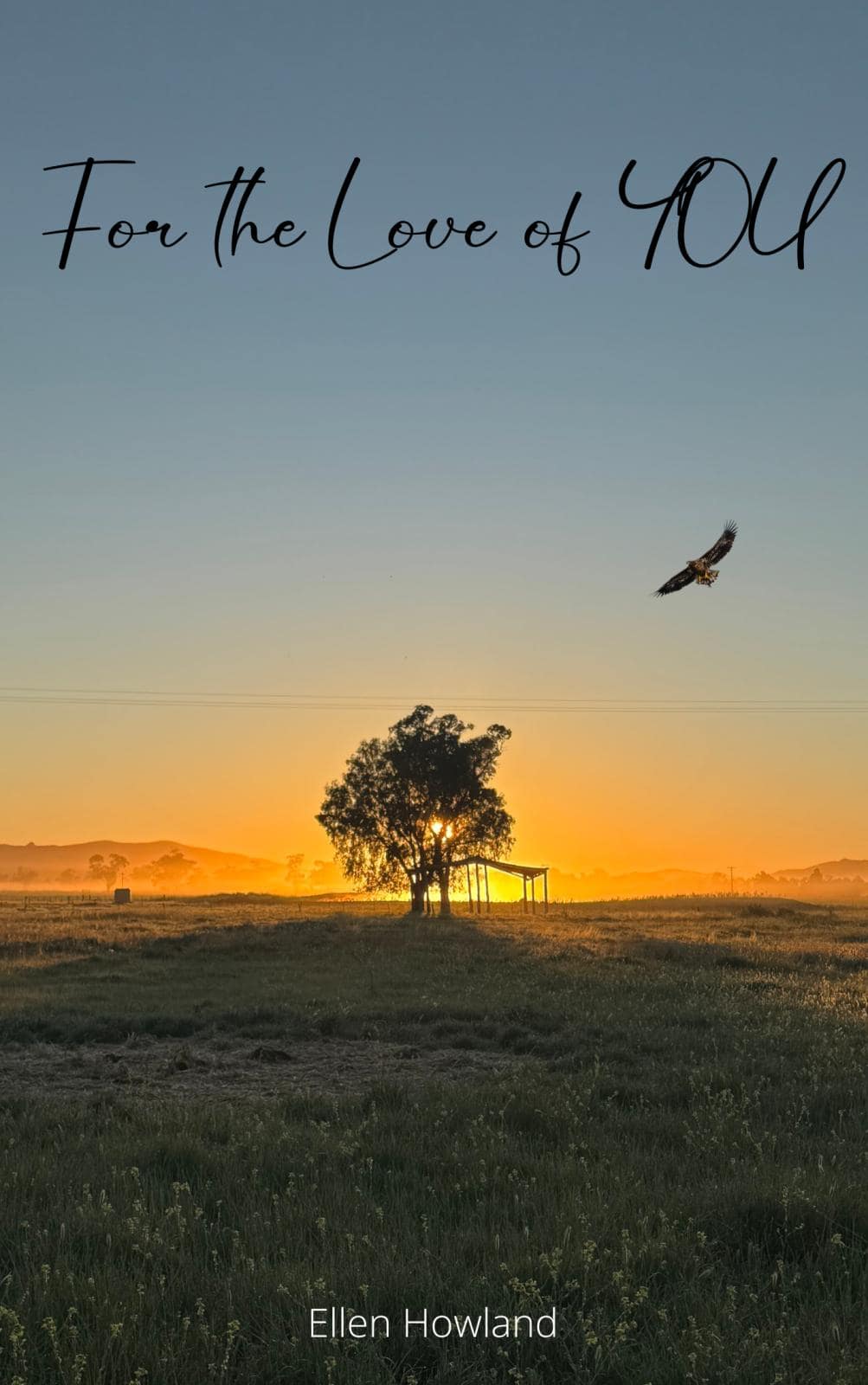 For the Love of You - Ellen Howland